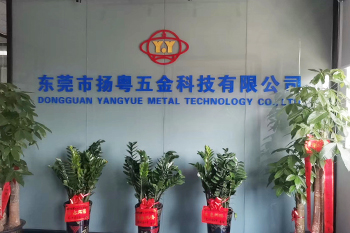 Dongguan Yangyue Metal Technology Co., Ltd